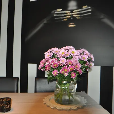 Haus Kenzo 65348