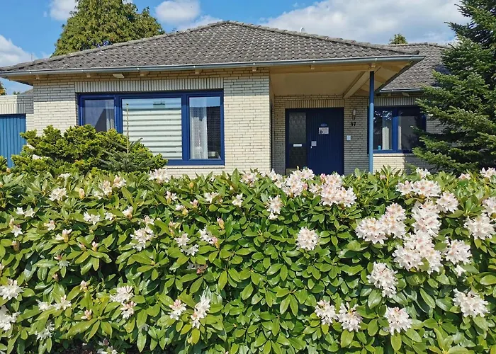 Haus Kenzo 65348 度假居